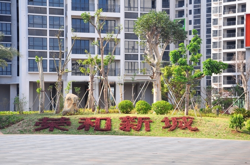 小区 园 林