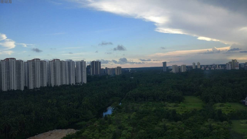 实景图3