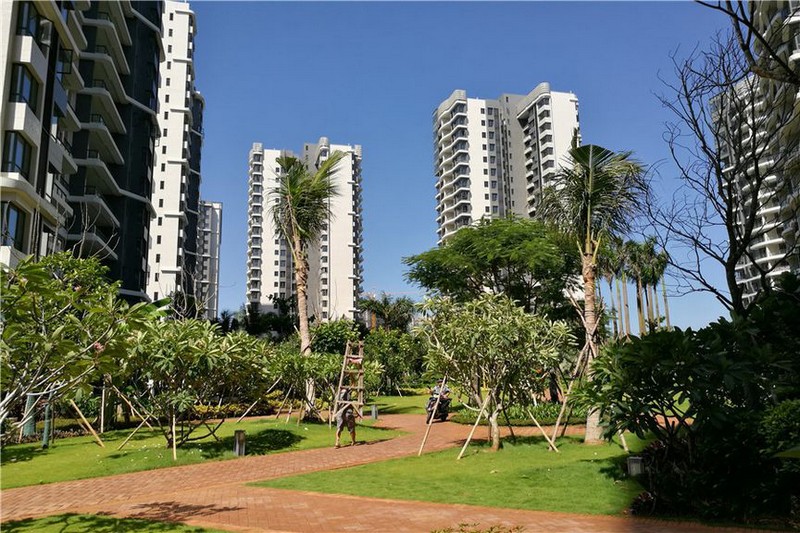 大华锦绣海岸实景图13