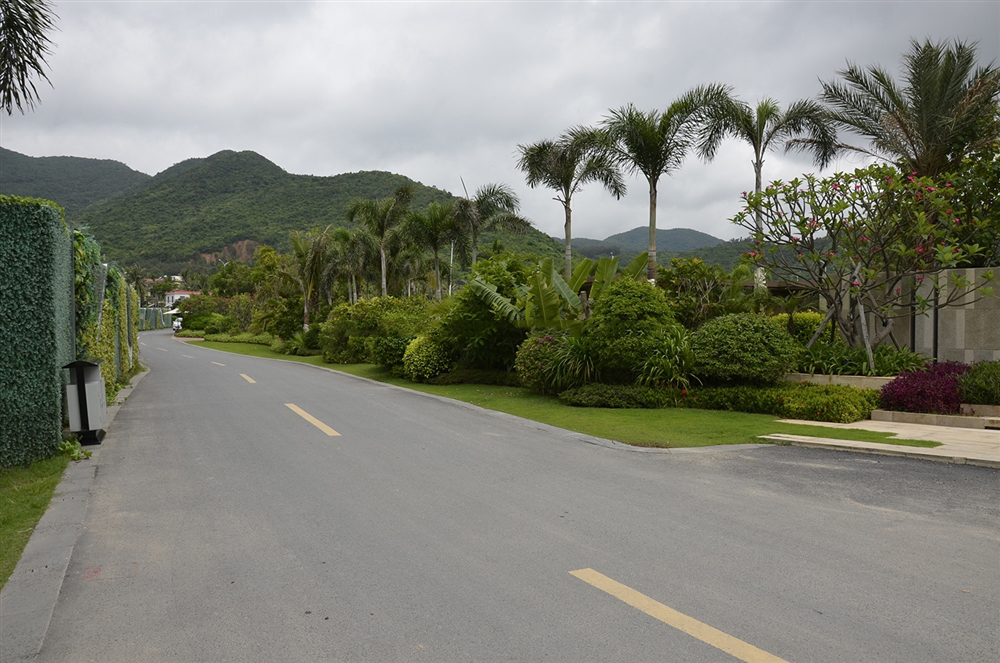 小区园林宽敞道路q