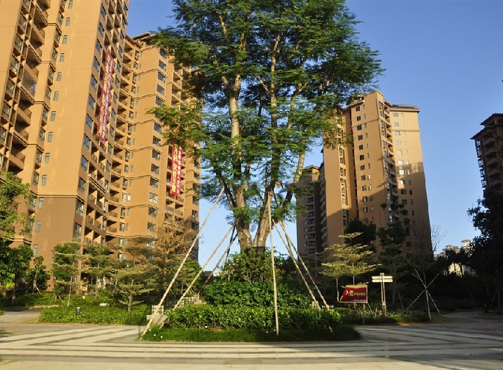 小区园林绿化