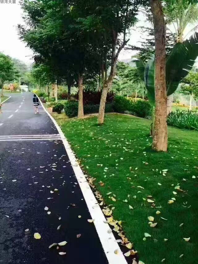 实景3