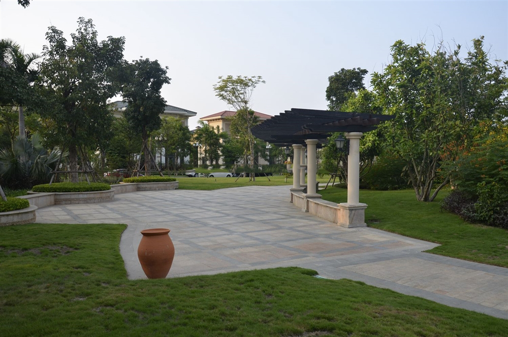 小区绿化实景6