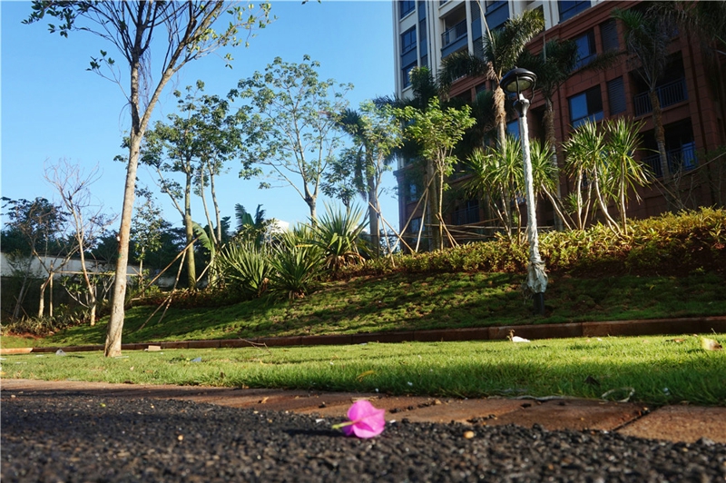 椰岛小城实景图15