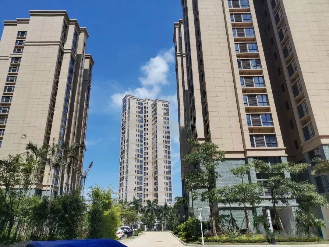 实景图