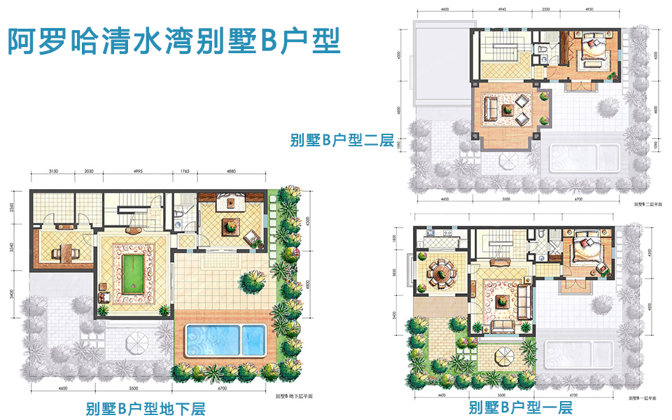 阿罗哈清水湾别墅B户型