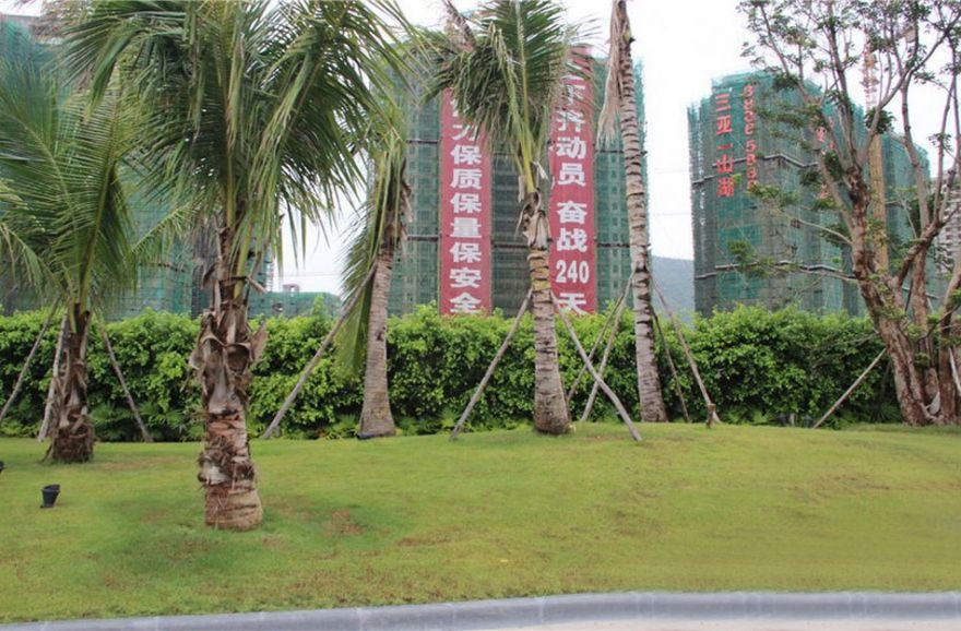 实景图6