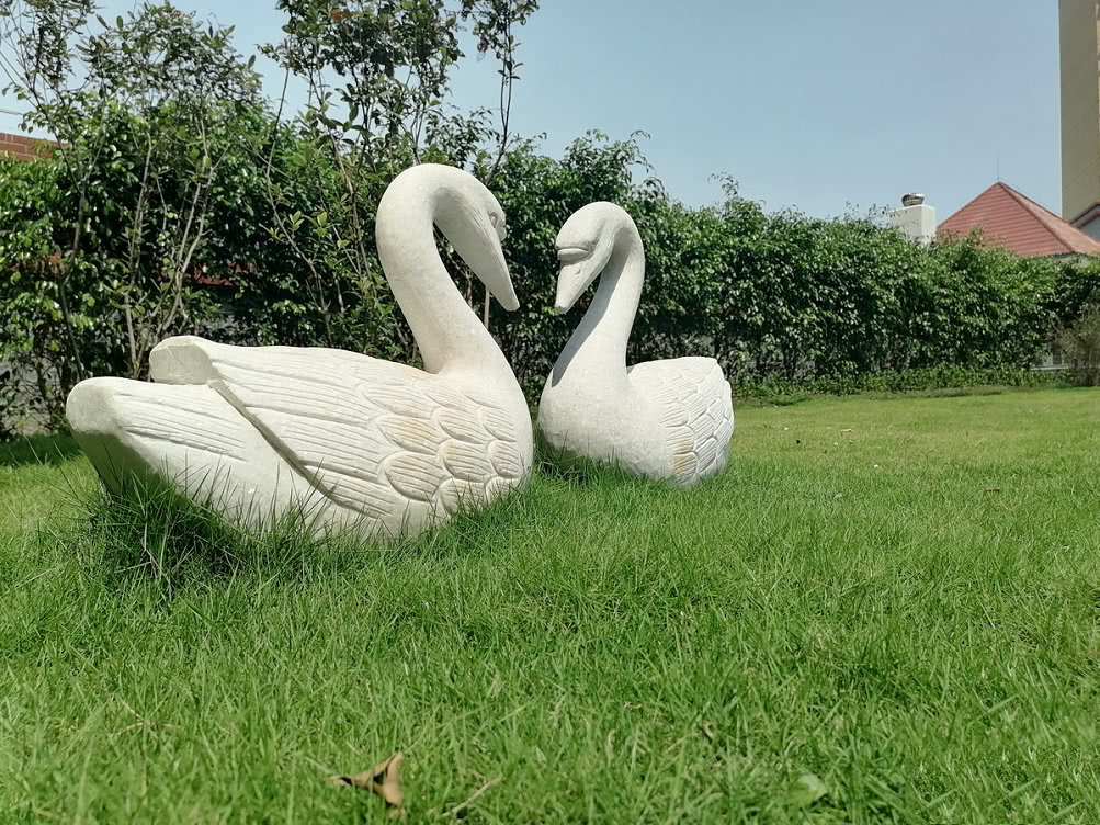 实景图8
