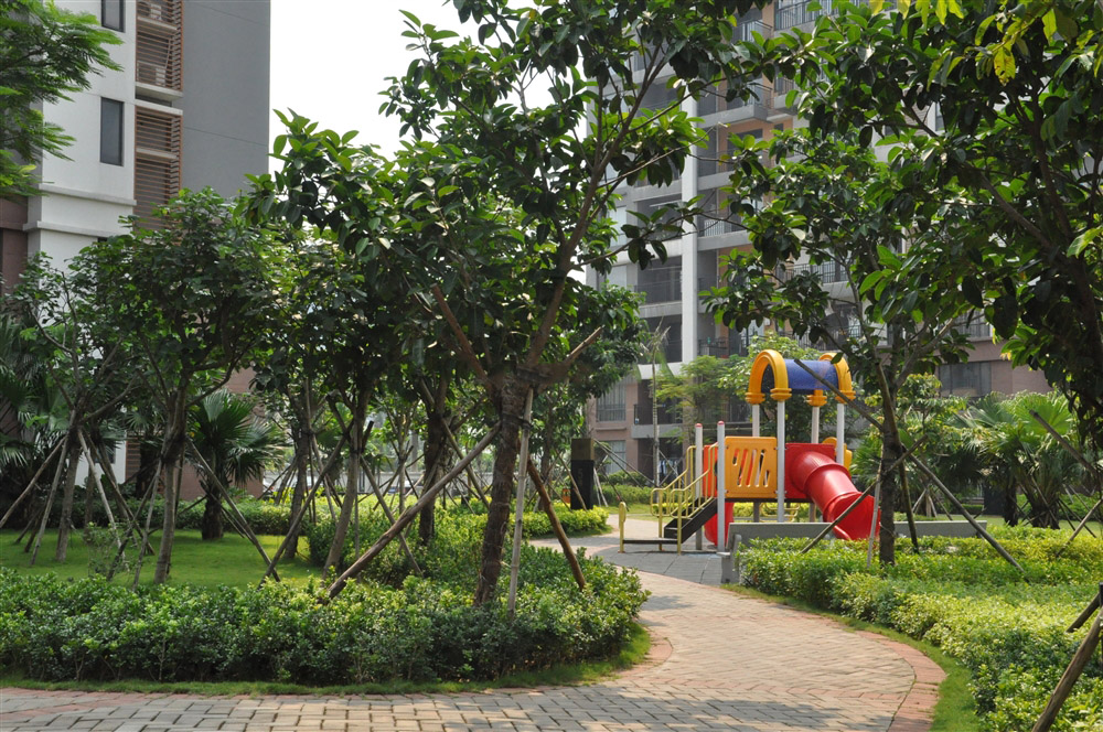 绿化实景
