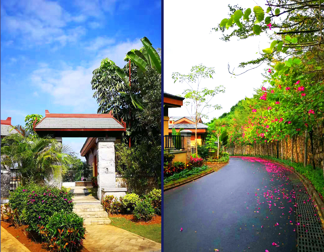 别墅样板间1