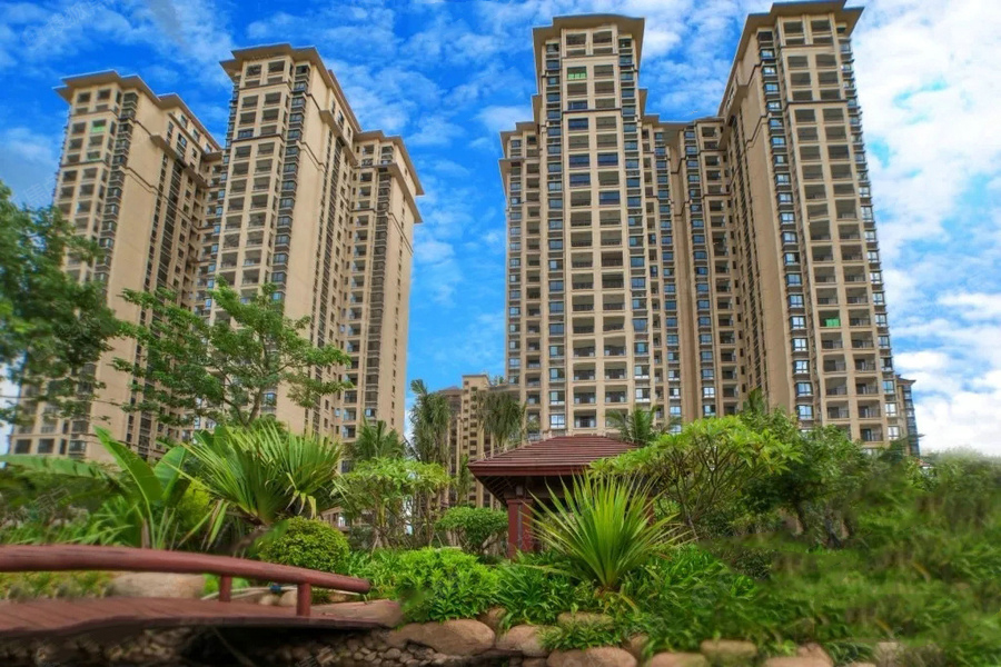 海地春天实景图3
