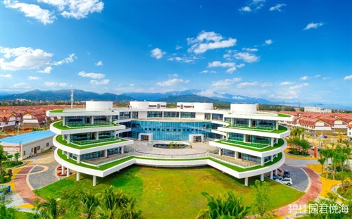 实景图7