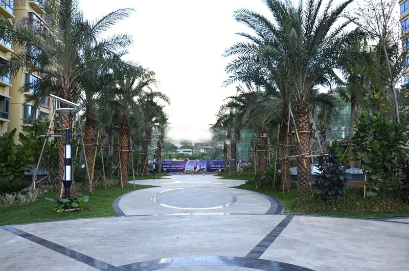 实景图7