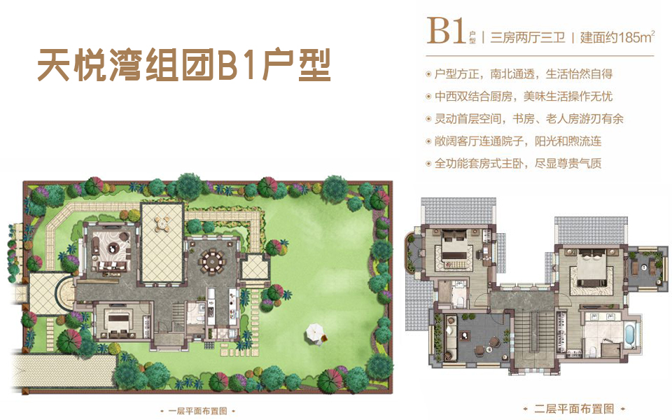 天悦湾-独院B1户型 3房2厅3卫