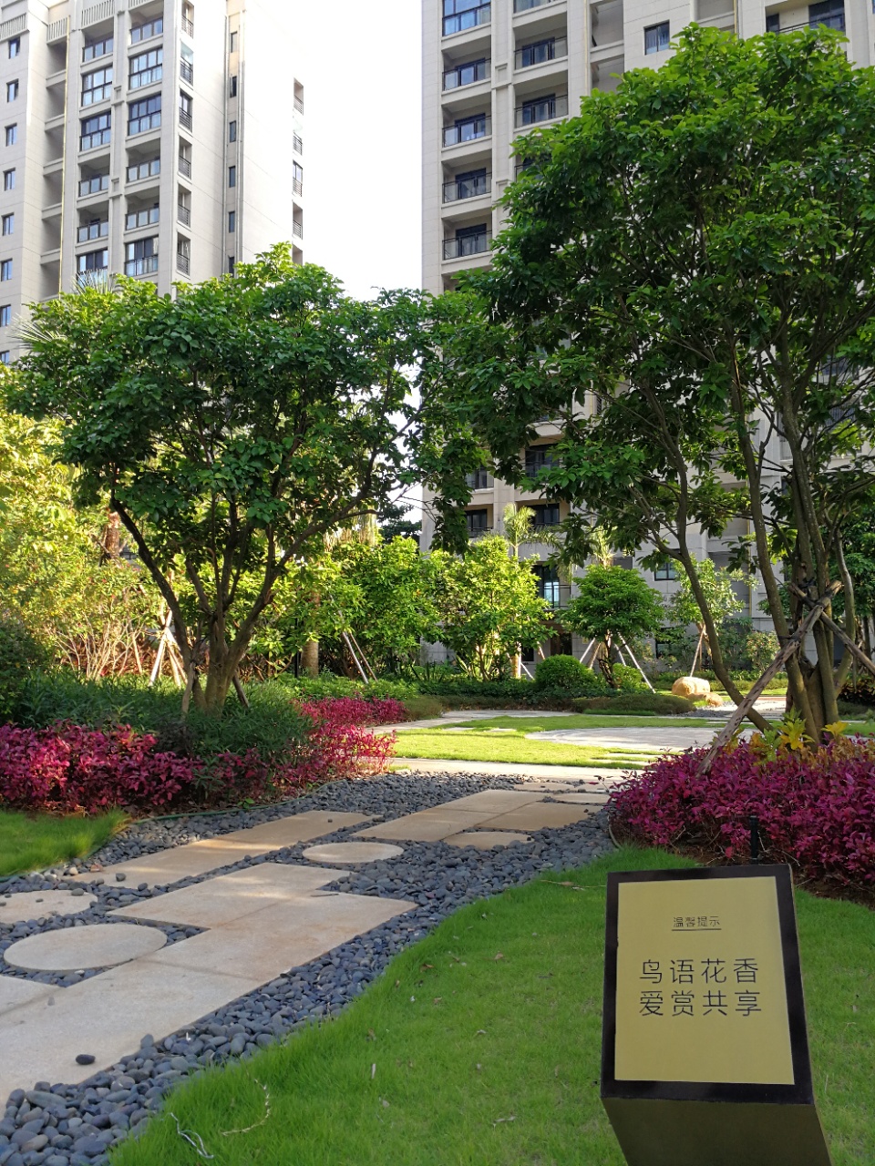 五期实景图-绿化2
