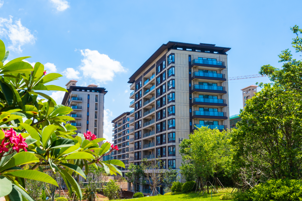 实景图6