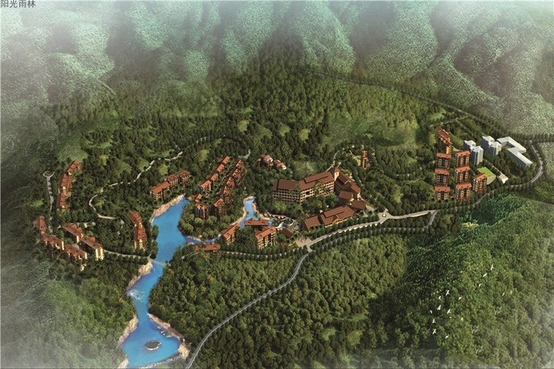 阳光雨林