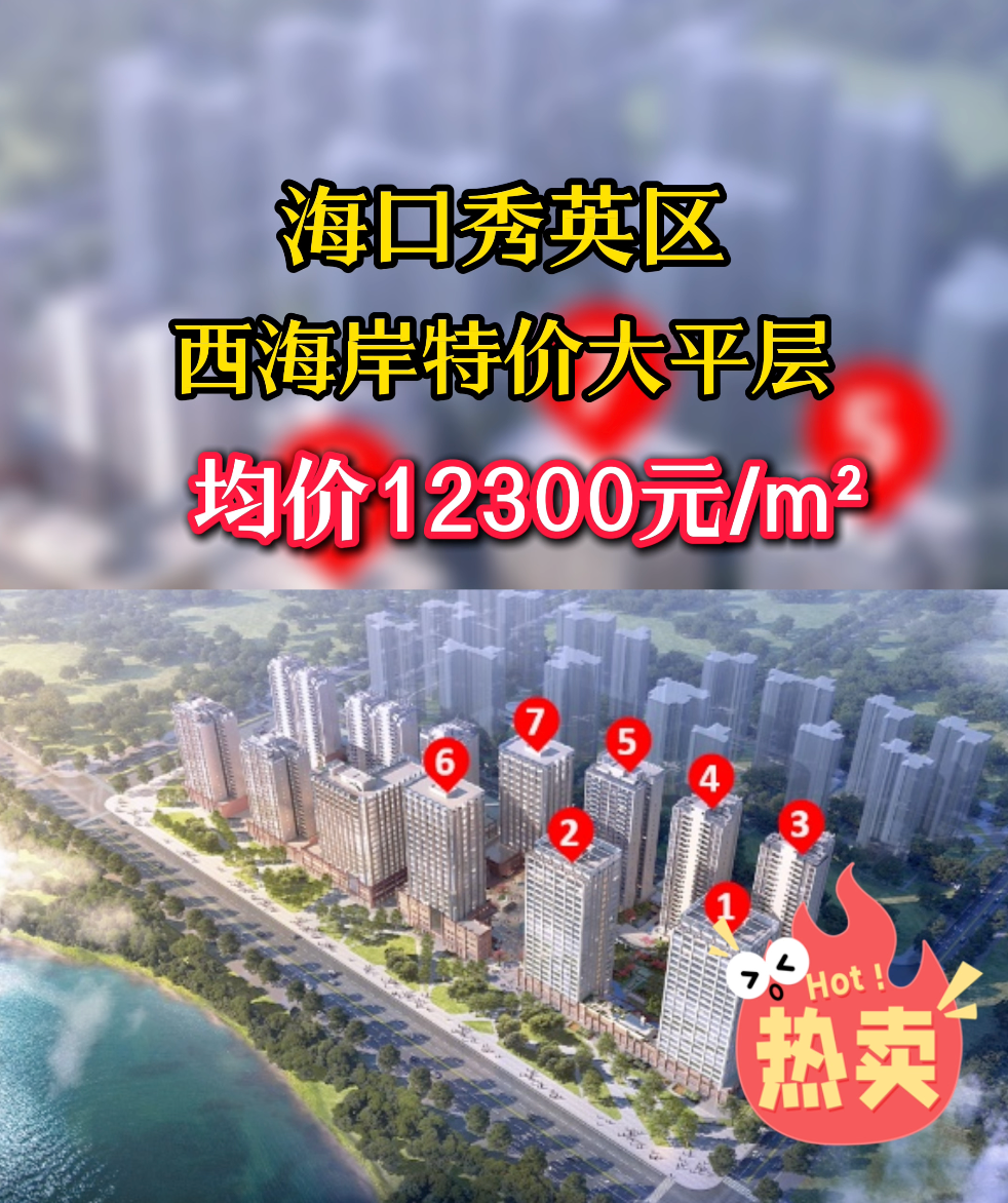 海口西海岸瞰海大平层特价房源